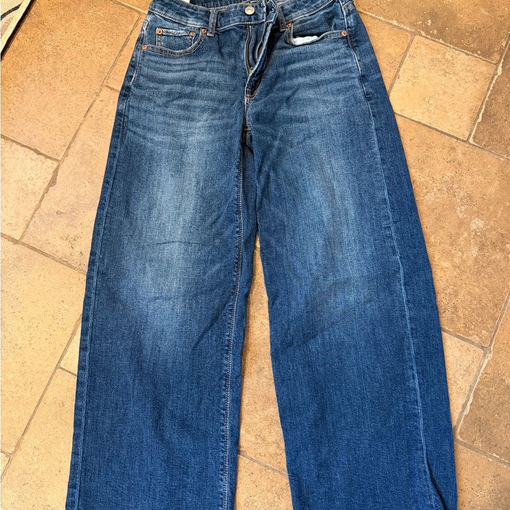 American eagle low rise baggy wide leg jeans